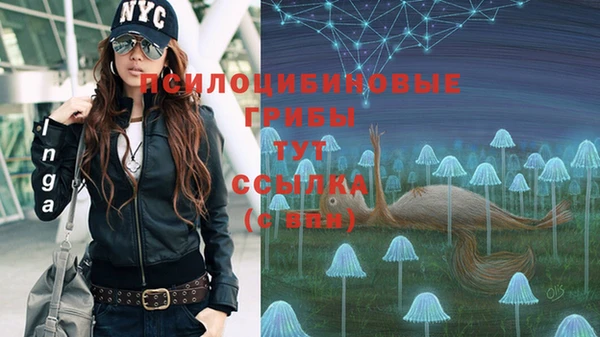 таблы Арсеньев