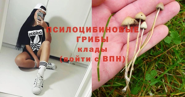 прущая мука Аркадак