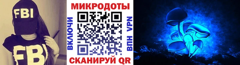 Псилоцибиновые грибы прущие грибы  закладки  Светлогорск 